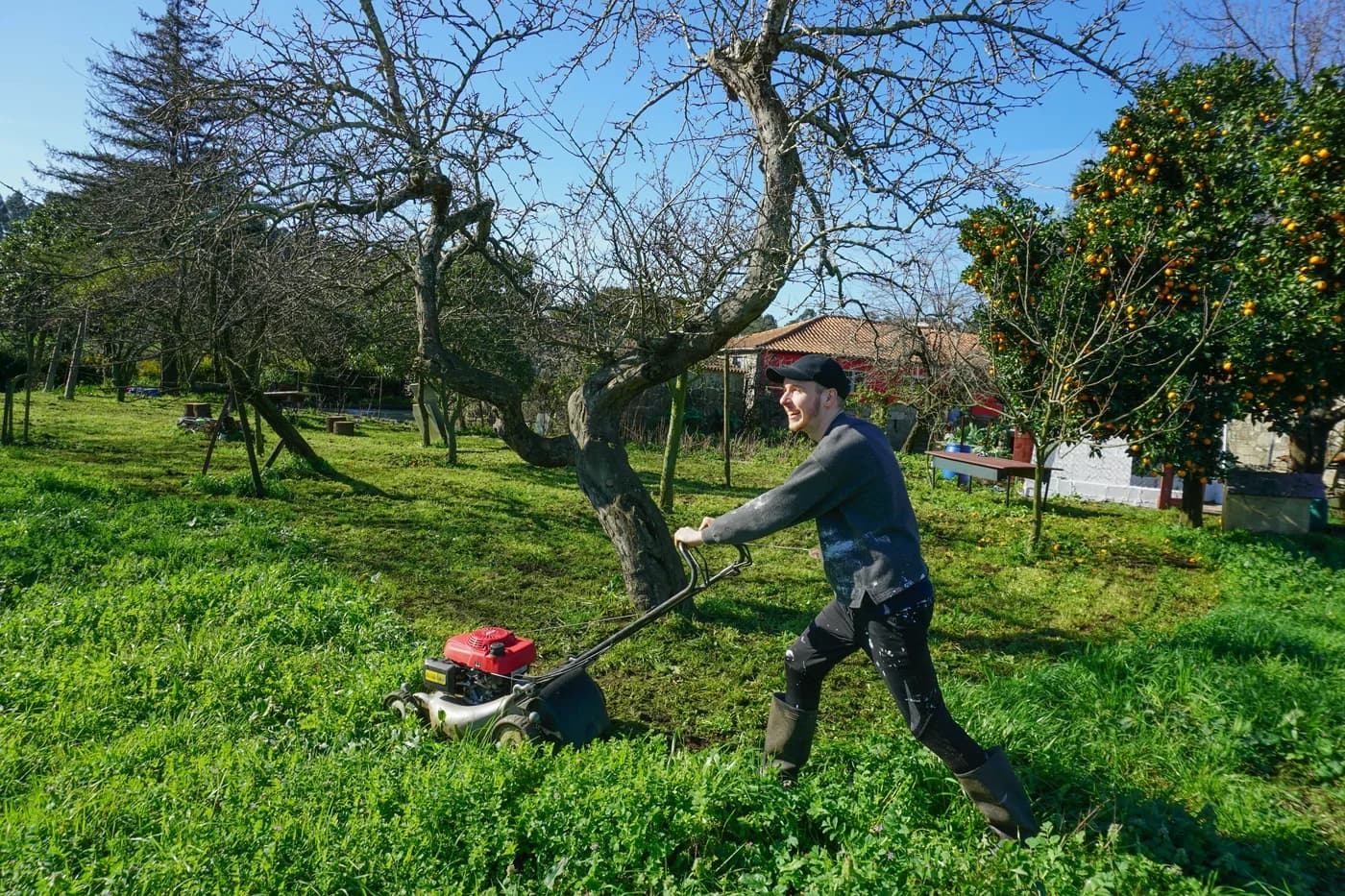 Serviço de Limpeza de Terrenos da Alan Schurmann Paisagismo
